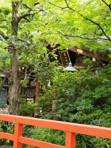 愛宕神社の自然