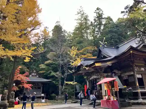 宝登山神社(埼玉県)