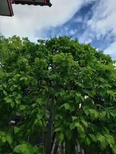 成願寺(東京都)