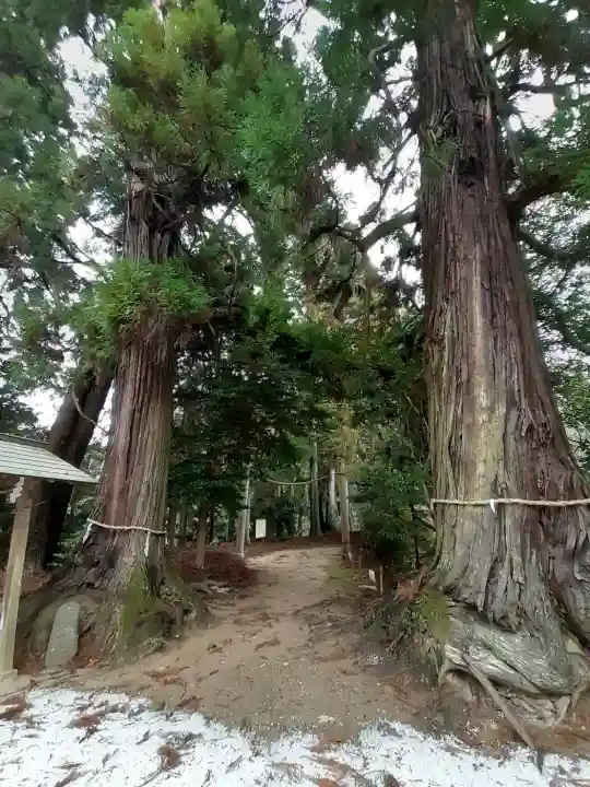 蟹井神社の{uncategorized: "未分類", other: "その他", undefined: "問題あり", building: "その他建物", grave: "お墓", sacred_gate: "鳥居", guardian: "狛犬", statue: "像", buddha: "仏像", history: "歴史", nature: "自然", garden: "庭園", animal: "動物", pagoda: "塔", temizu: "手水舎", mountain_gate: "山門・神門", sanctuary: "本殿・本堂", subordinate: "末社・摂社", art: "芸術", scenery: "景色", jizo: "地蔵", ema: "絵馬", goshuin: "御朱印", omikuji: "おみくじ", items: "授与品その他", amulet: "お守り", goshuincho: "御朱印帳", eats: "食事", festival: "お祭り", votive_dance: "神楽", shichigosan: "七五三参", wedding: "結婚式", experience: "体験その他", initially: "初詣", around: "周辺", anti_infection: "感染症対策"}