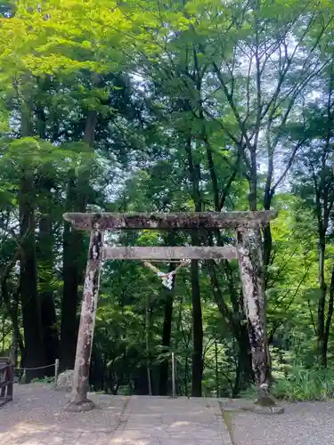 大矢田神社(岐阜県)