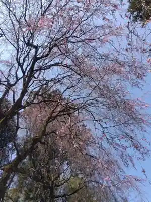 熊野神社(福井県)