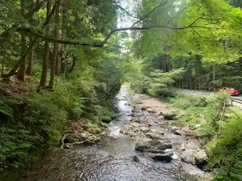 貴船神社奥宮の自然