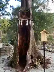 丹生川上神社（中社）(奈良県)