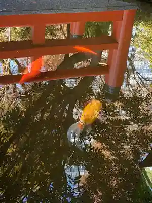熊野神社(東京都)