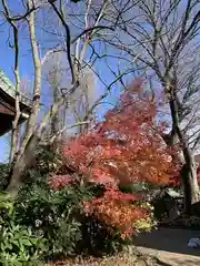 式内楯原神社(大阪府)