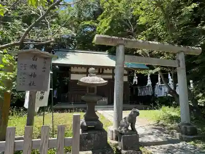 白旗神社(西御門)(神奈川県)