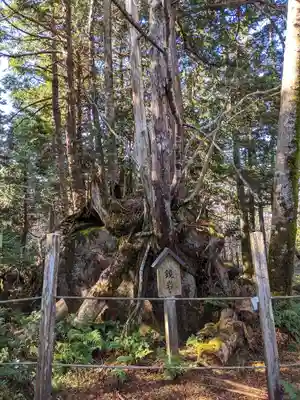 天の岩戸(飛騨一宮水無神社奥宮)(岐阜県)