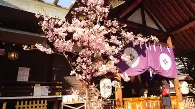 東京大神宮の本殿・本堂