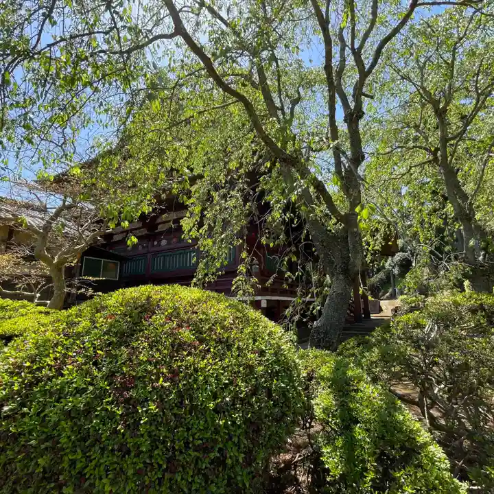 神野寺(千葉県)