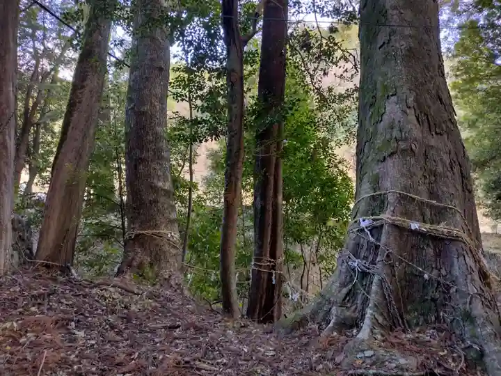 金山神社(三重県)