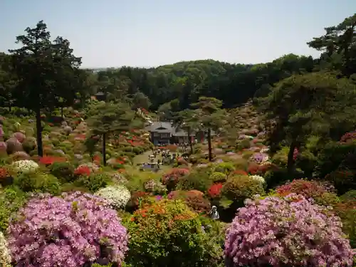 塩船観音寺(東京都)