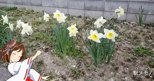 原稲荷神社の自然