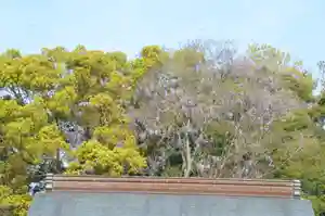 伊勢の国 四天王寺(三重県)(2022年05月12日(木) 20時27分15秒投稿)