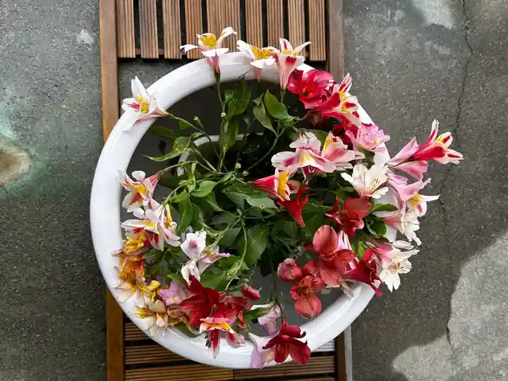 徳島眉山天神社(徳島県)