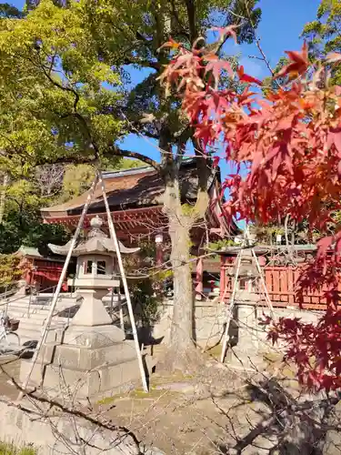 津島神社の自然