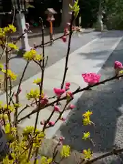 滑川神社 - 仕事と子どもの守り神の建物その他