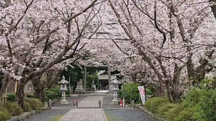 前鳥神社の自然