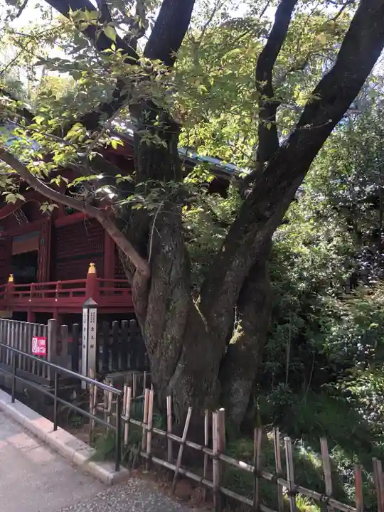 金王八幡宮(東京都)
