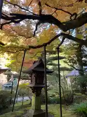 北口本宮冨士浅間神社(山梨県)