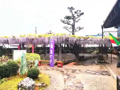 太巌寺(ふじの寺)の庭園