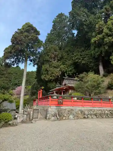 天神社の{uncategorized: "未分類", other: "その他", undefined: "問題あり", building: "その他建物", grave: "お墓", sacred_gate: "鳥居", guardian: "狛犬", statue: "像", buddha: "仏像", history: "歴史", nature: "自然", garden: "庭園", animal: "動物", pagoda: "塔", temizu: "手水舎", mountain_gate: "山門・神門", sanctuary: "本殿・本堂", subordinate: "末社・摂社", art: "芸術", scenery: "景色", jizo: "地蔵", ema: "絵馬", goshuin: "御朱印", omikuji: "おみくじ", items: "授与品その他", amulet: "お守り", goshuincho: "御朱印帳", eats: "食事", festival: "お祭り", votive_dance: "神楽", shichigosan: "七五三参", wedding: "結婚式", experience: "体験その他", initially: "初詣", around: "周辺", anti_infection: "感染症対策"}