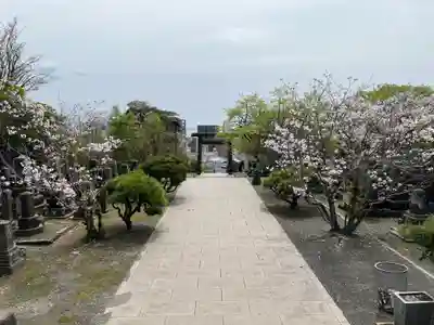 南洲神社(鹿児島県)