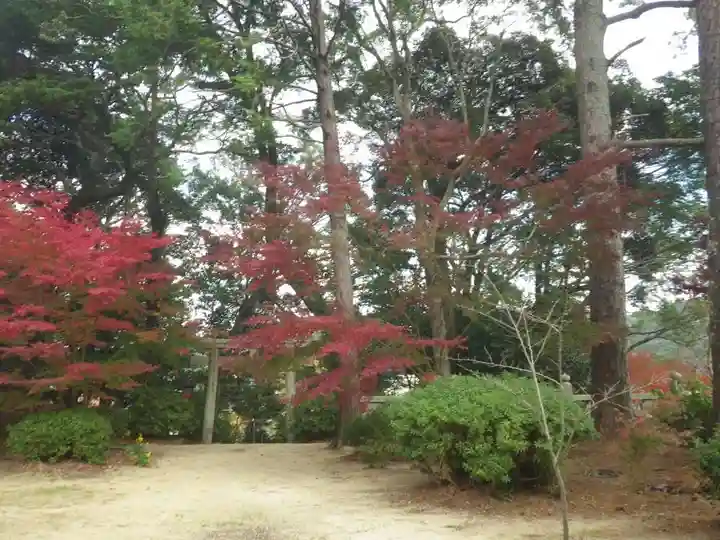 宮尾八幡宮(山口県)