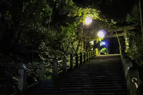 白山比咩神社の自然