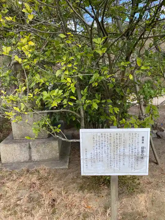 木華佐久耶比咩神社(岡山県)