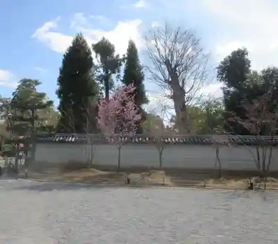 仁和寺(京都府)