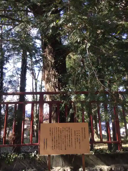 表門神社(山梨県)