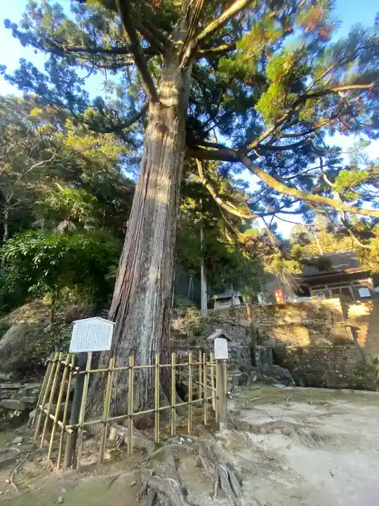 天恩寺(愛知県)