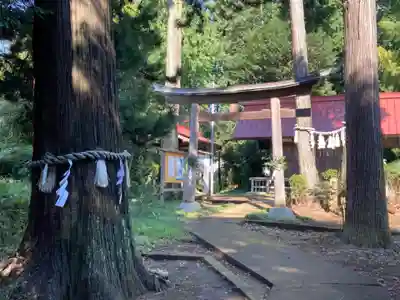 白子神社の鳥居