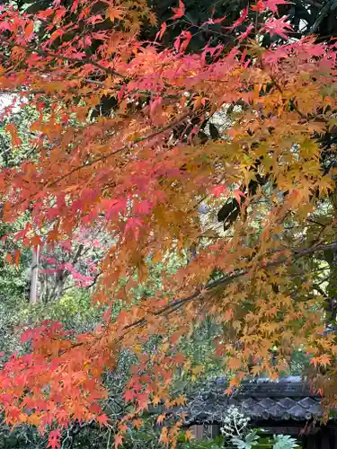 宇治上神社(京都府)