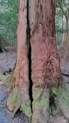瀧原宮(皇大神宮別宮)(三重県)
