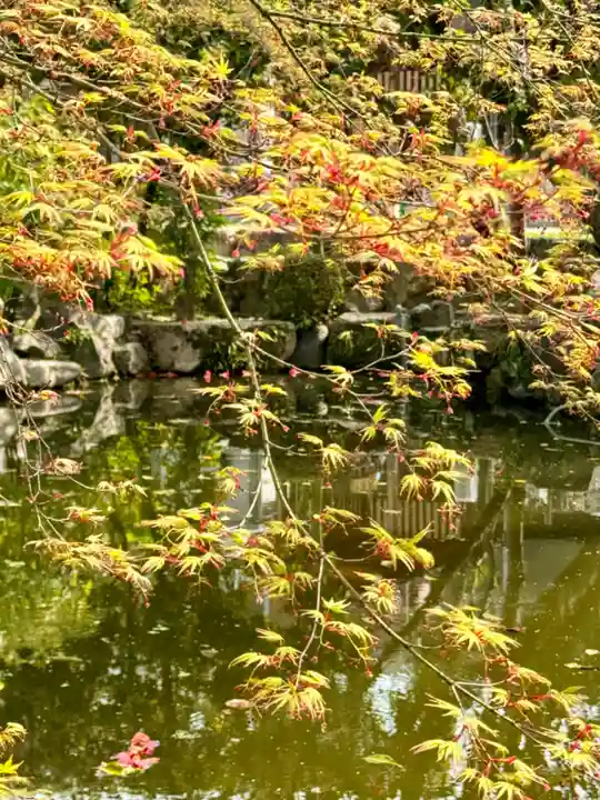 欣浄寺(京都府)