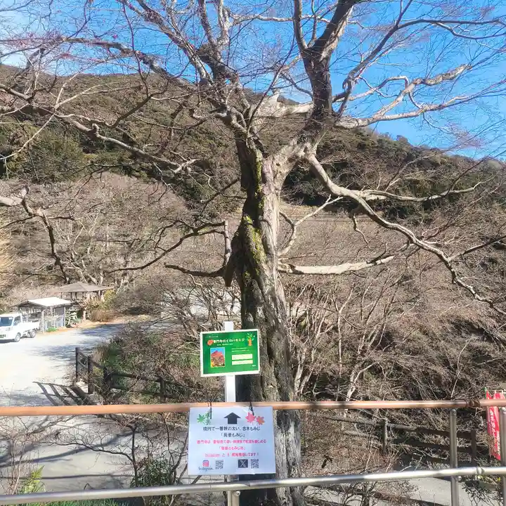 普門寺(切り絵御朱印発祥の寺)(愛知県)