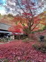 教林坊(滋賀県)