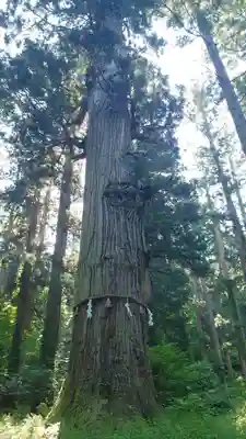 出羽神社(出羽三山神社)～三神合祭殿～(山形県)