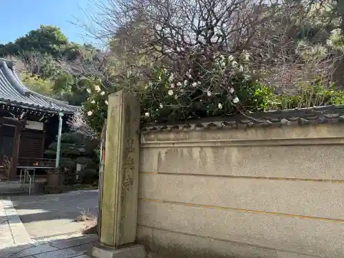 専光寺の{uncategorized: "未分類", other: "その他", undefined: "問題あり", building: "その他建物", grave: "お墓", sacred_gate: "鳥居", guardian: "狛犬", statue: "像", buddha: "仏像", history: "歴史", nature: "自然", garden: "庭園", animal: "動物", pagoda: "塔", temizu: "手水舎", mountain_gate: "山門・神門", sanctuary: "本殿・本堂", subordinate: "末社・摂社", art: "芸術", scenery: "景色", jizo: "地蔵", ema: "絵馬", goshuin: "御朱印", omikuji: "おみくじ", items: "授与品その他", amulet: "お守り", goshuincho: "御朱印帳", eats: "食事", festival: "お祭り", votive_dance: "神楽", shichigosan: "七五三参", wedding: "結婚式", experience: "体験その他", initially: "初詣", around: "周辺", anti_infection: "感染症対策"}