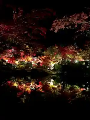 禅林寺（永観堂）の{uncategorized: "未分類", other: "その他", undefined: "問題あり", building: "その他建物", grave: "お墓", sacred_gate: "鳥居", guardian: "狛犬", statue: "像", buddha: "仏像", history: "歴史", nature: "自然", garden: "庭園", animal: "動物", pagoda: "塔", temizu: "手水舎", mountain_gate: "山門・神門", sanctuary: "本殿・本堂", subordinate: "末社・摂社", art: "芸術", scenery: "景色", jizo: "地蔵", ema: "絵馬", goshuin: "御朱印", omikuji: "おみくじ", items: "授与品その他", amulet: "お守り", goshuincho: "御朱印帳", eats: "食事", festival: "お祭り", votive_dance: "神楽", shichigosan: "七五三参", wedding: "結婚式", experience: "体験その他", initially: "初詣", around: "周辺", anti_infection: "感染症対策"}