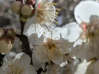 玉眞院玉川大師(東京都)
