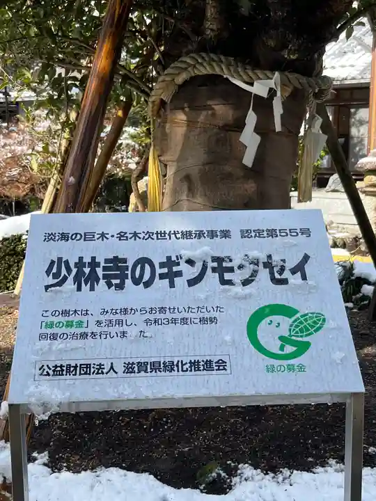 少林寺(滋賀県)