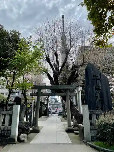 牛嶋神社(東京都)