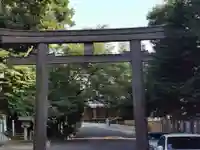 東郷神社の鳥居
