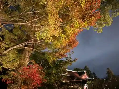 北野天満宮(京都府)