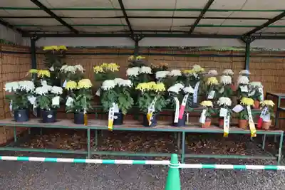 高麗神社のその他建物