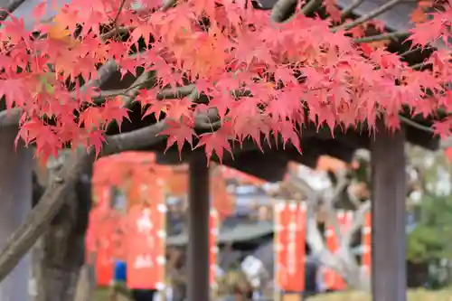萬寿神社（柏屋本店願掛け萬寿石）(福島県)