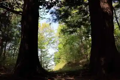 多賀神社の自然